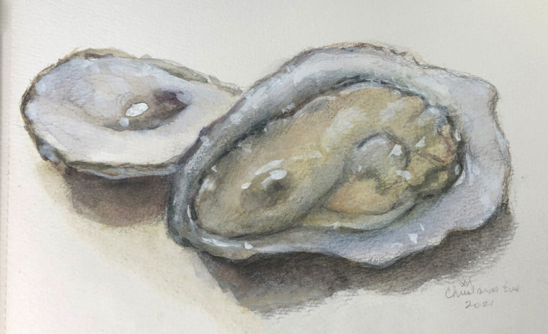 Little watercolor oyster I painted on Christmas Eve this year.  Oyster painting by Michel McNinch