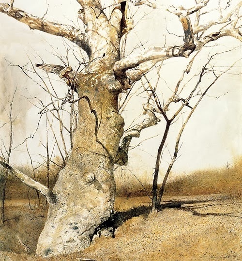 "Sycamore," 1982, watercolor, Andrew Wyeth
