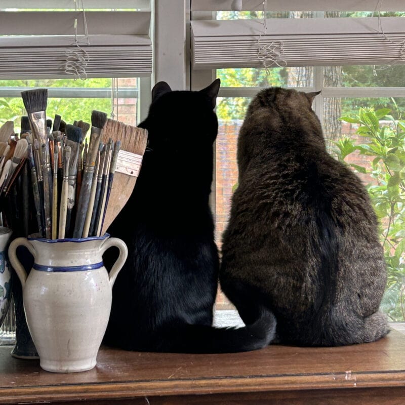 My two cats, Frida and Charlie, watching the riveting squirrel show in the back yard from the studio window.