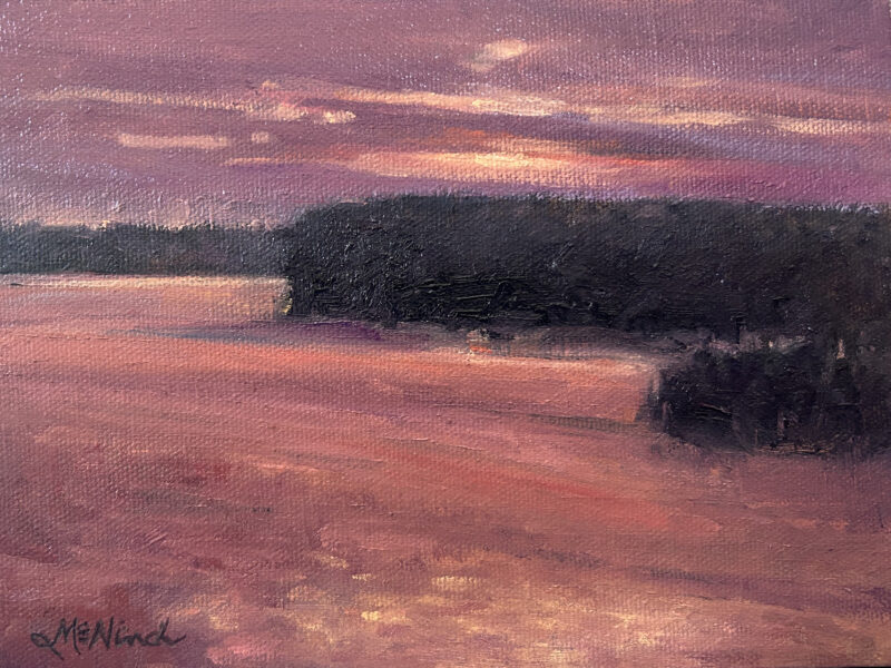 I can hear my friend, Kathy, saying “here she comes!” We watch the sunrise together at least a couple mornings a year. We also go to HBSP at least once a year too. That’s what I call treasure.  Paintings from SC Parks by Michel McNinch
