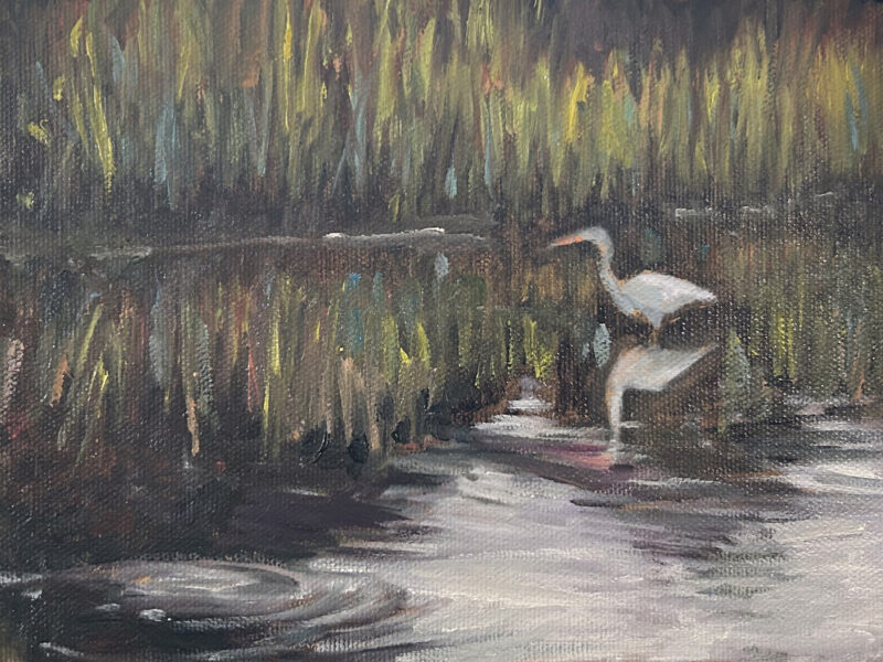 Wading for Breakfast, 6x8, oil, $295 The birds have sanctuary in the estuary at Huntington Beach SP (5 Xs fast). There are always many flocks of shore birds posing for park visitors. They wade around at feeding times in the morning and the evening.