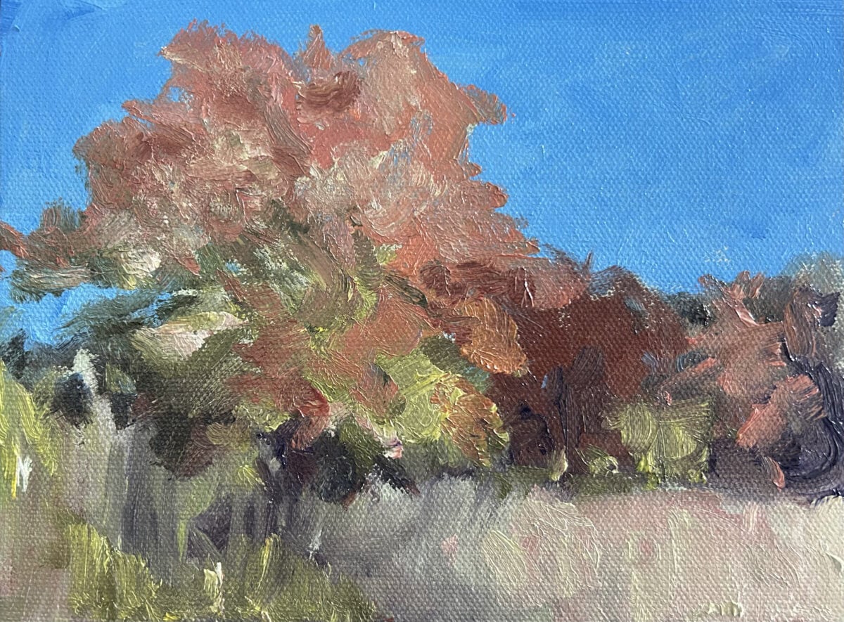 This red orange tree was shining bright in the vivid blue sky.  Who wouldn’t stop and marvel at this colorful show?
#tablerockstatepark. #fallbrilliance #vividcolor #artlovers #naturelovers #fallcolor #beanartist #landscapepainter #treehugger #colorshow #michelmcninch #stormwaterstudios

