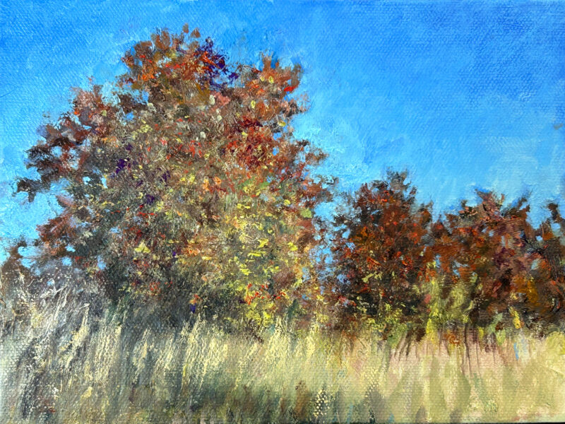 This painting and three more comprise a TableRock State Park Series. I started in one of my painting classes to show how a series of paintings can all be started on the same day and with the same palette. This gives a great chance that the paintings will hold together as a series. Consistent Harmony. I worthy aim.