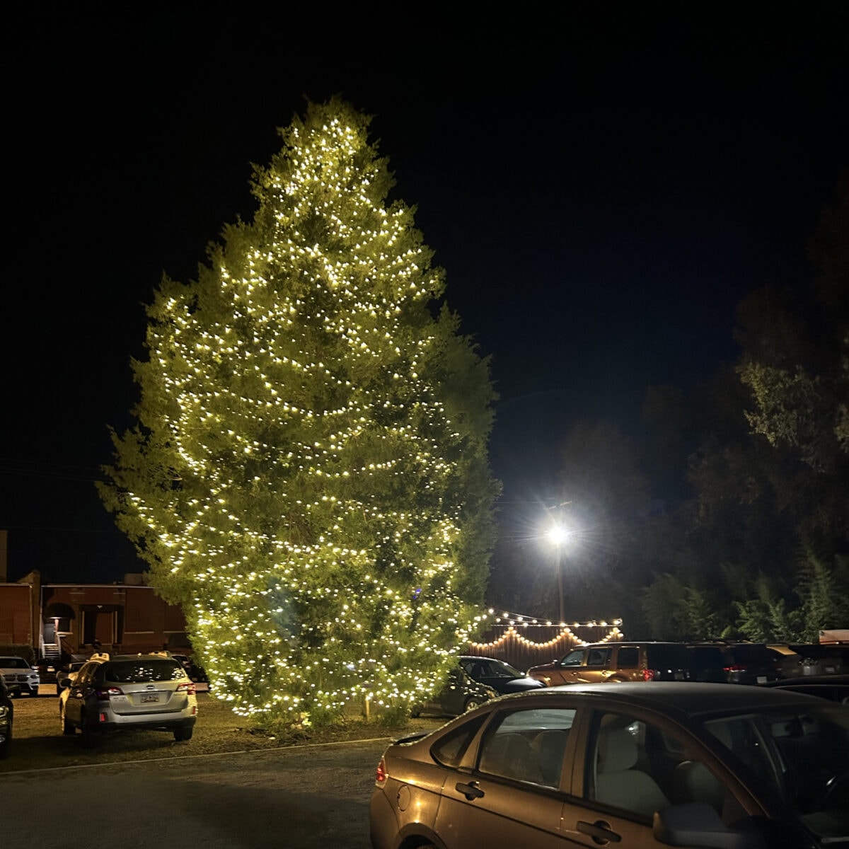 2nd Annual Tree Lighting at Stormwater Studios Vista Lights 2023