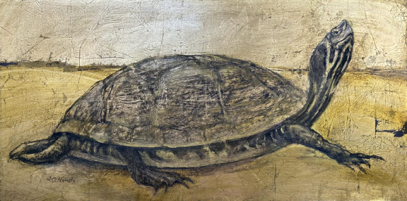 "YELLOW-BELLIED SLIDER," oil on Gold Leaf, 12x24, Michel McNinch, artist Lots of Painting in the Studio