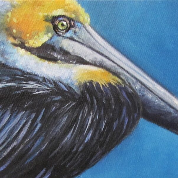 Bird-UncleSalty-Pelican-8x16-oil-McNinch