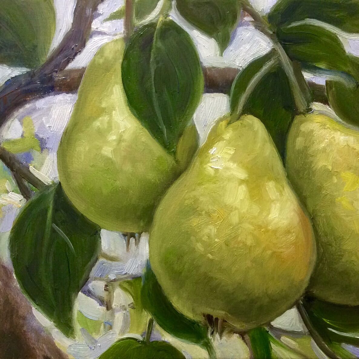 Pears-oil-8x8-McNinch